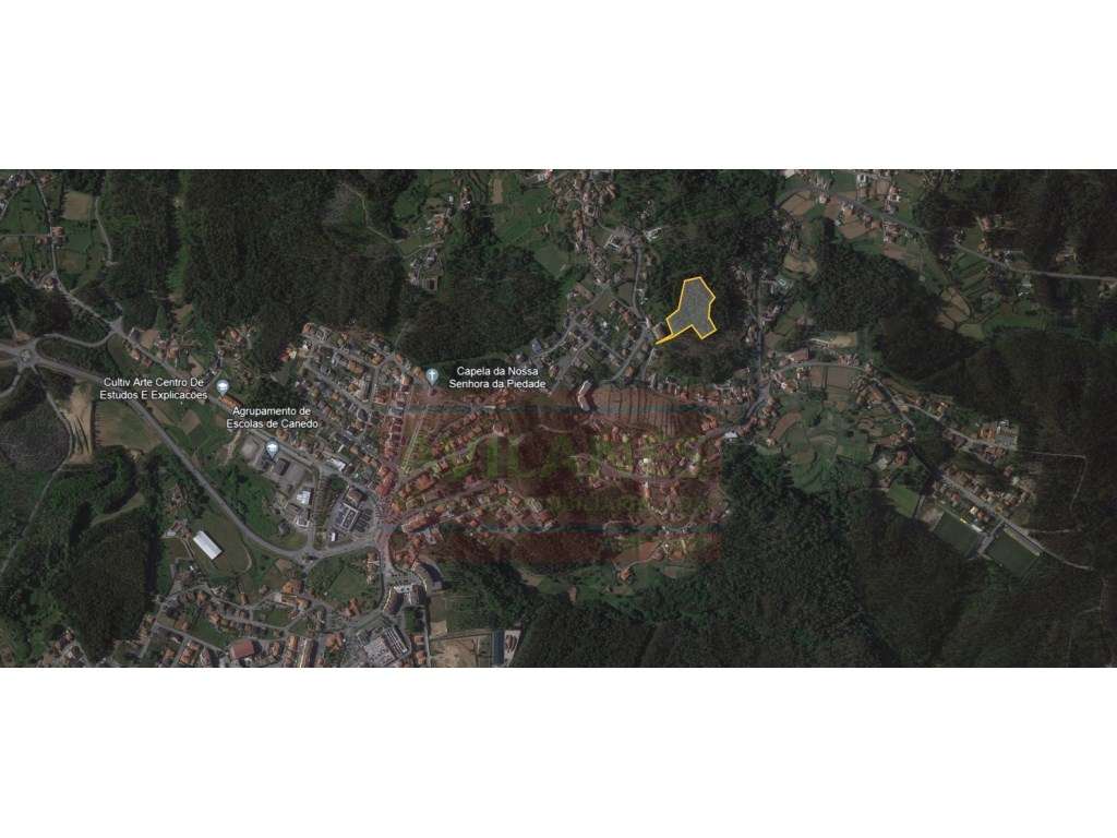 TERRENO - CANEDO - Grande imagem: 2/2