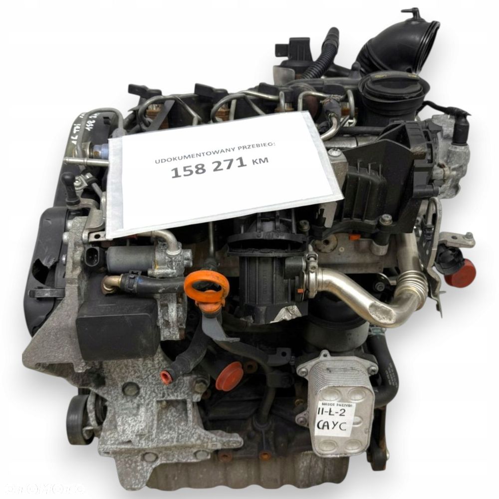 SILNIK CAY VW New Beetle Jetta III Audi A1 8X A3 8P1 1.6 TDI diesel CAYC - 1