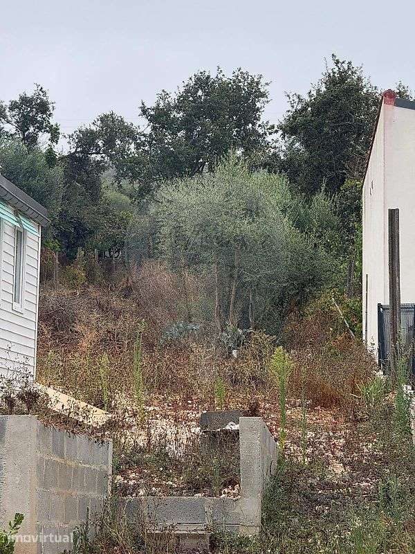 Terreno  para venda - Grande imagem: 4/12