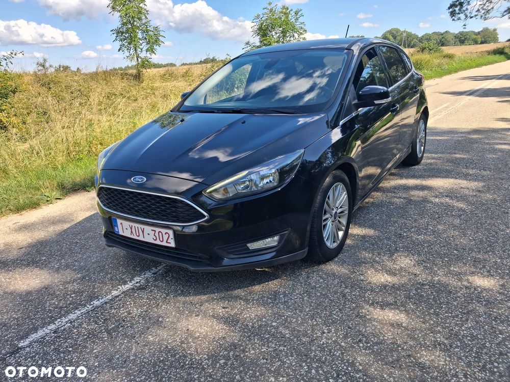 Ford Focus - 1