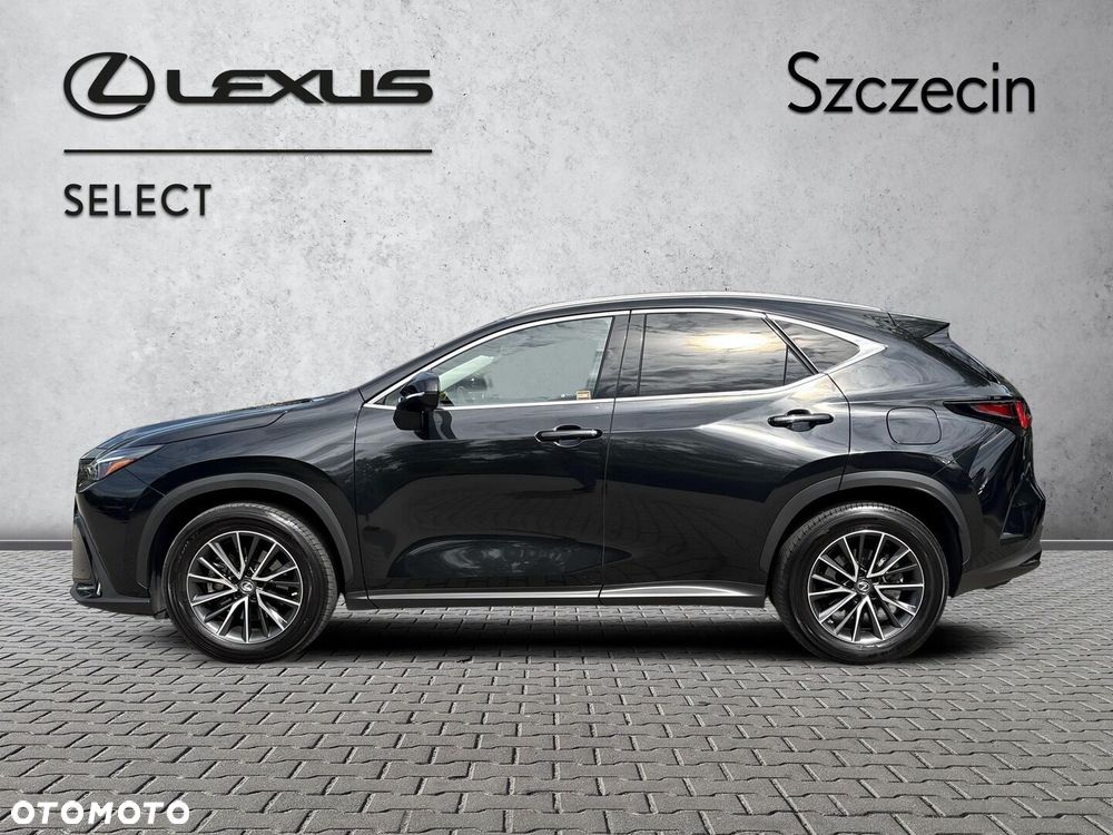 Lexus NX 350h Business AWD - 2