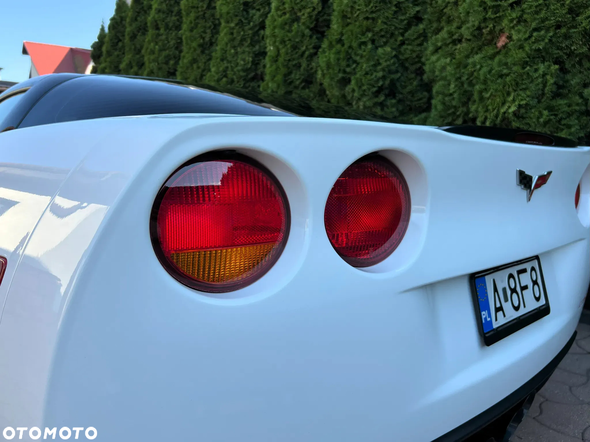 Chevrolet Corvette 6.0 V8 - 29