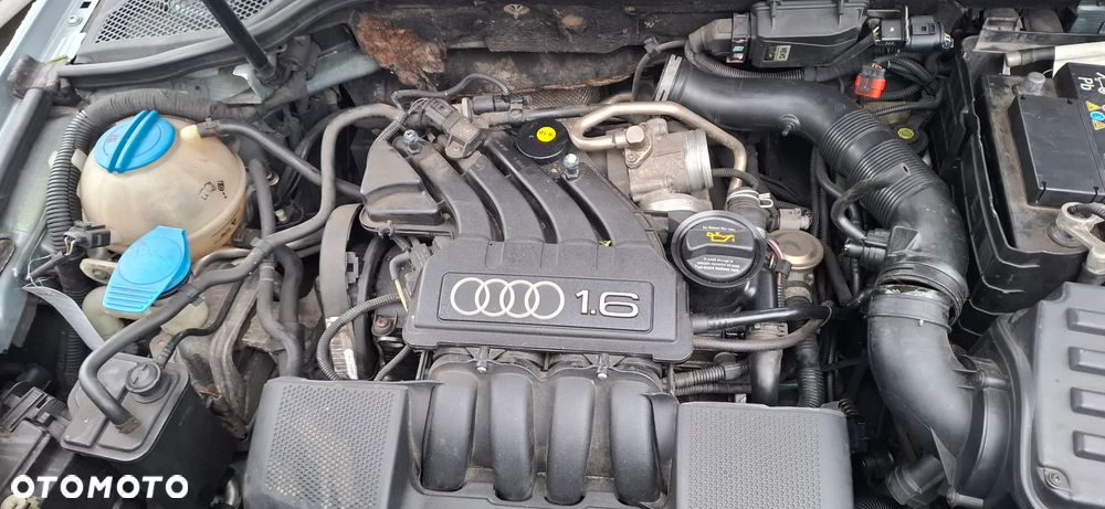 Audi A3 8P na części 1,6 BGU - 6