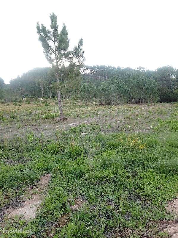 Terreno  para venda - Grande imagem: 2/5