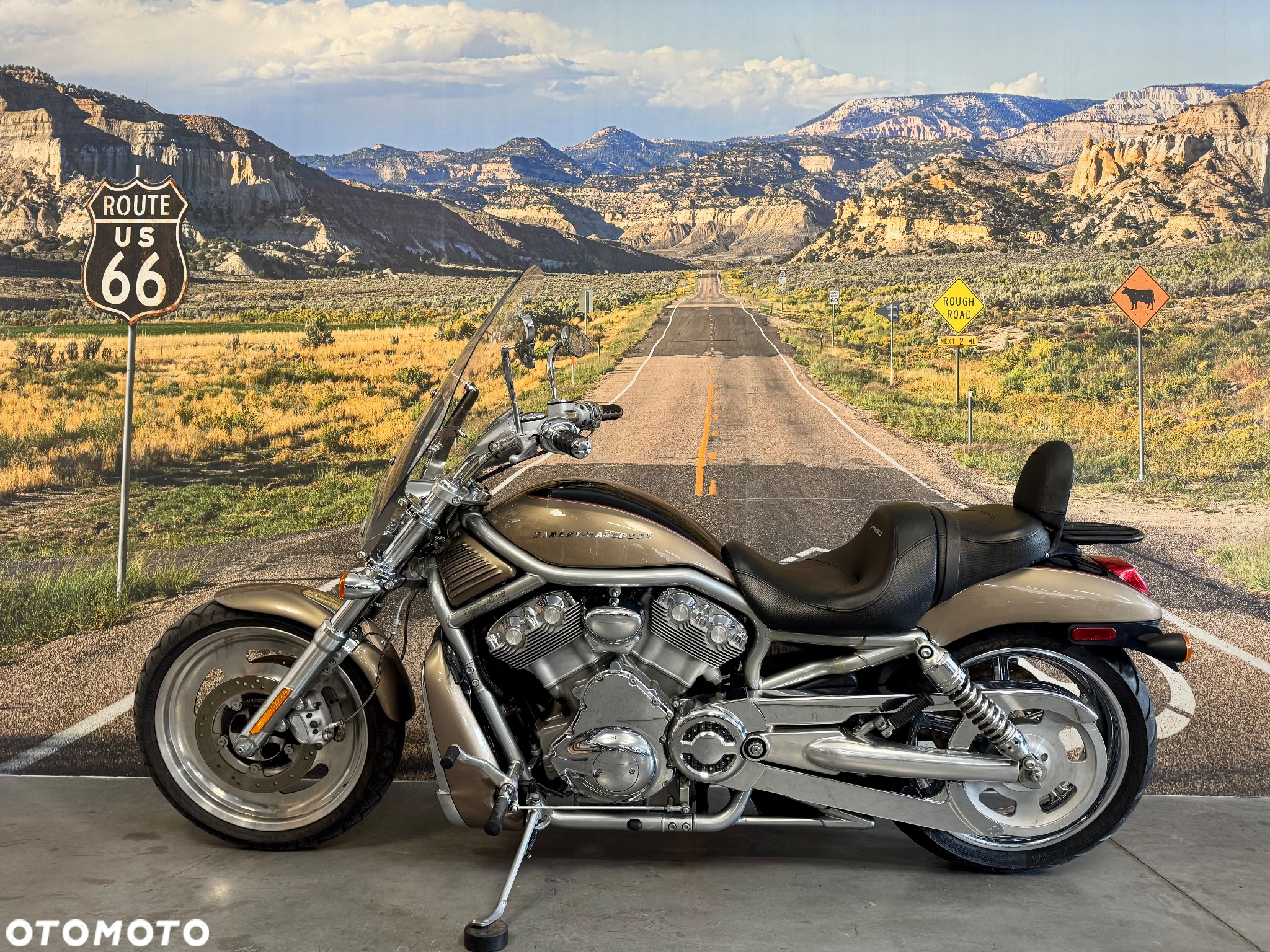 Harley-Davidson V-Rod Street Rod - 6