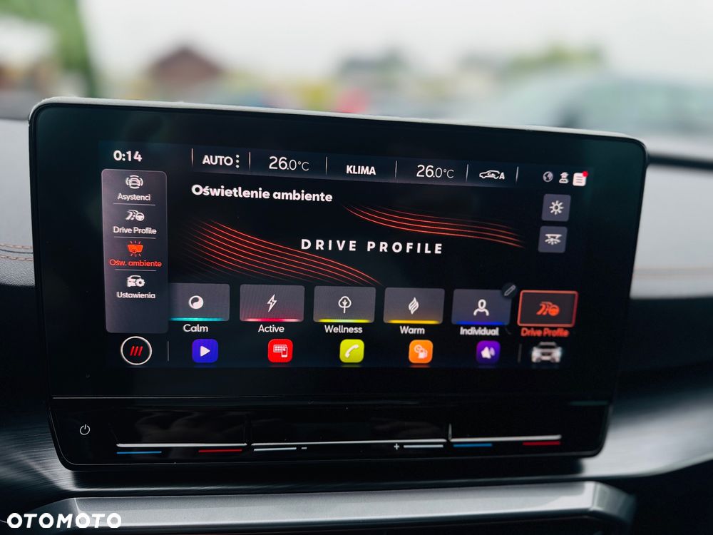 Cupra Formentor 2.0 TDI - 10