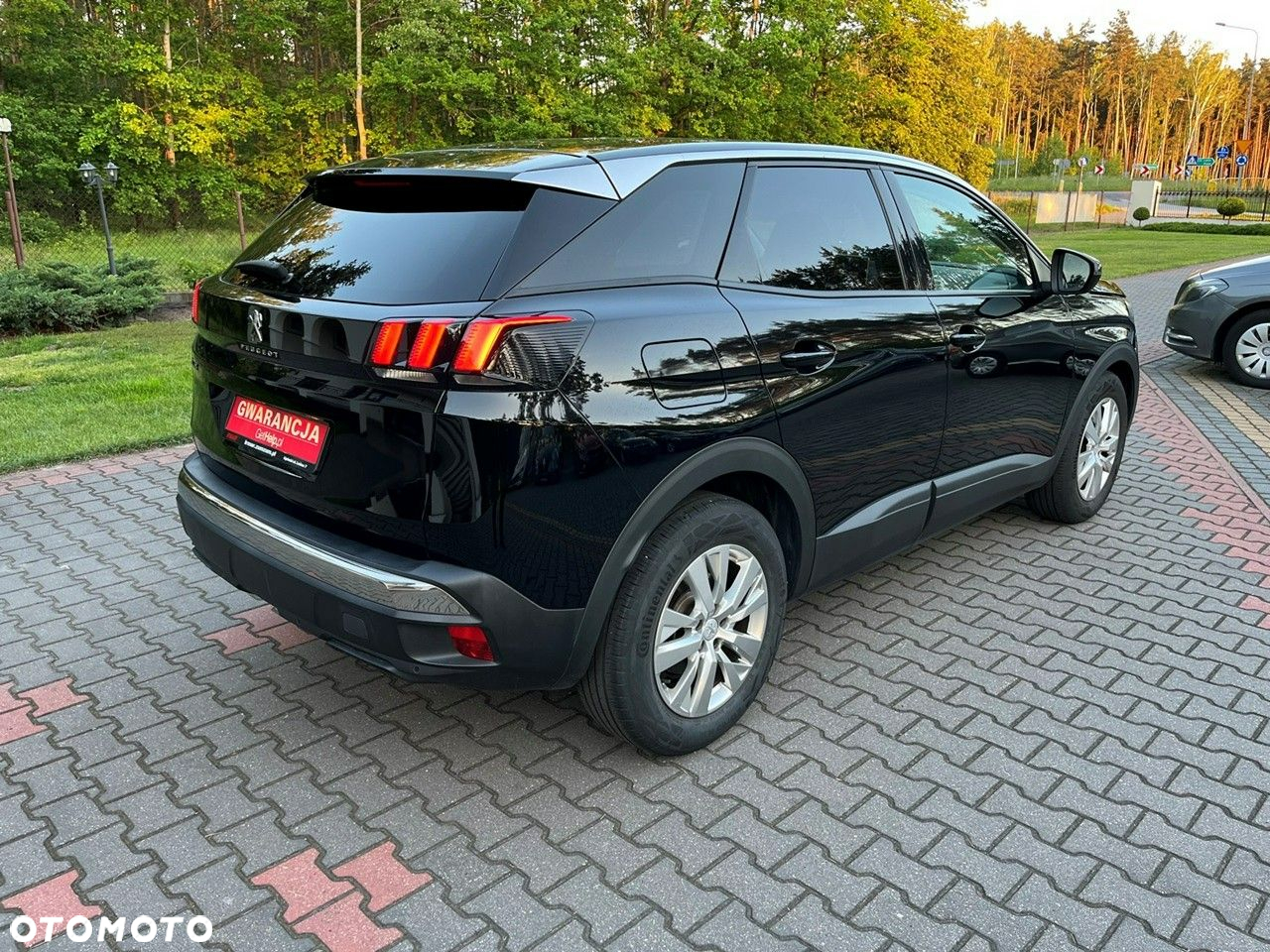 Peugeot 3008 - 6