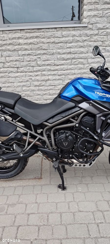 Triumph Tiger - 8