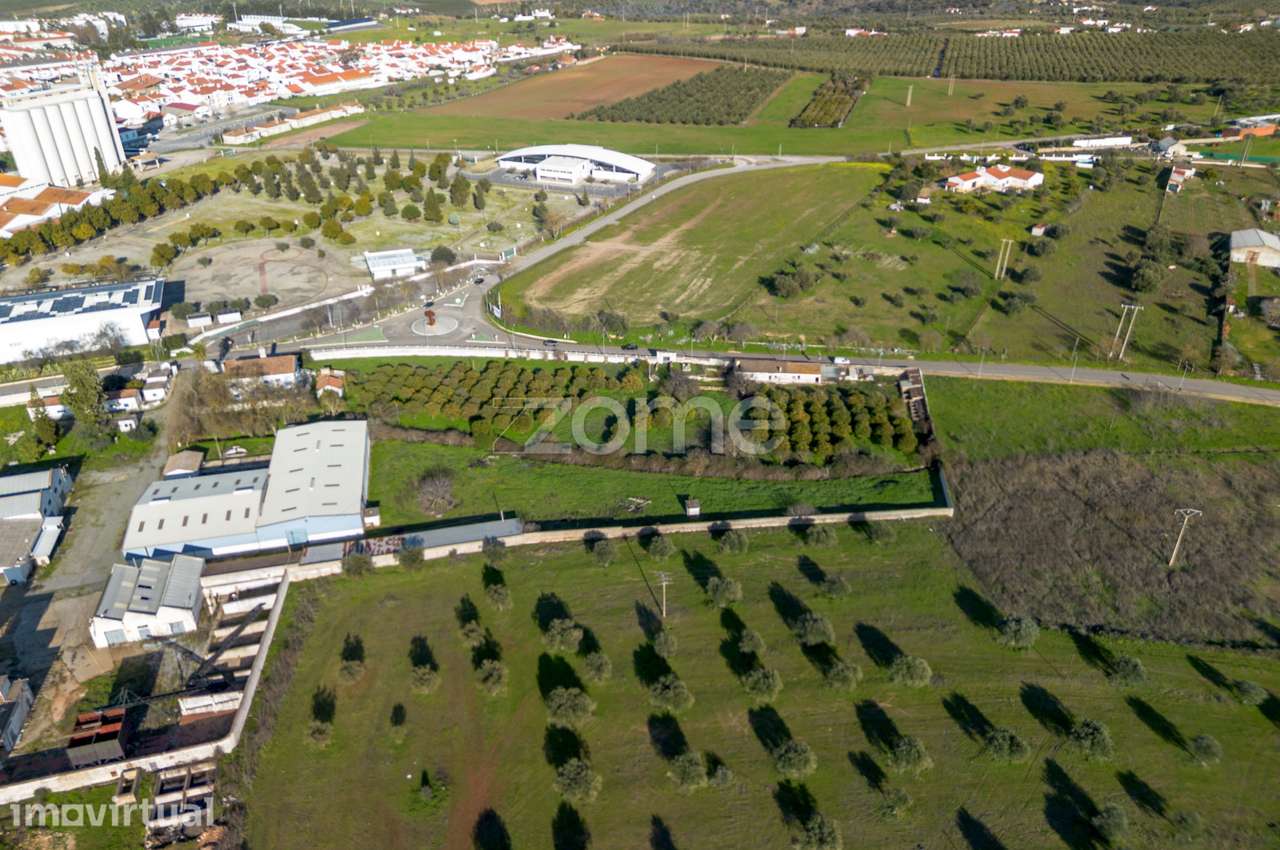 Armazens de atividade Industrial - Lagar de Azeite - Moura - Grande imagem: 3/59