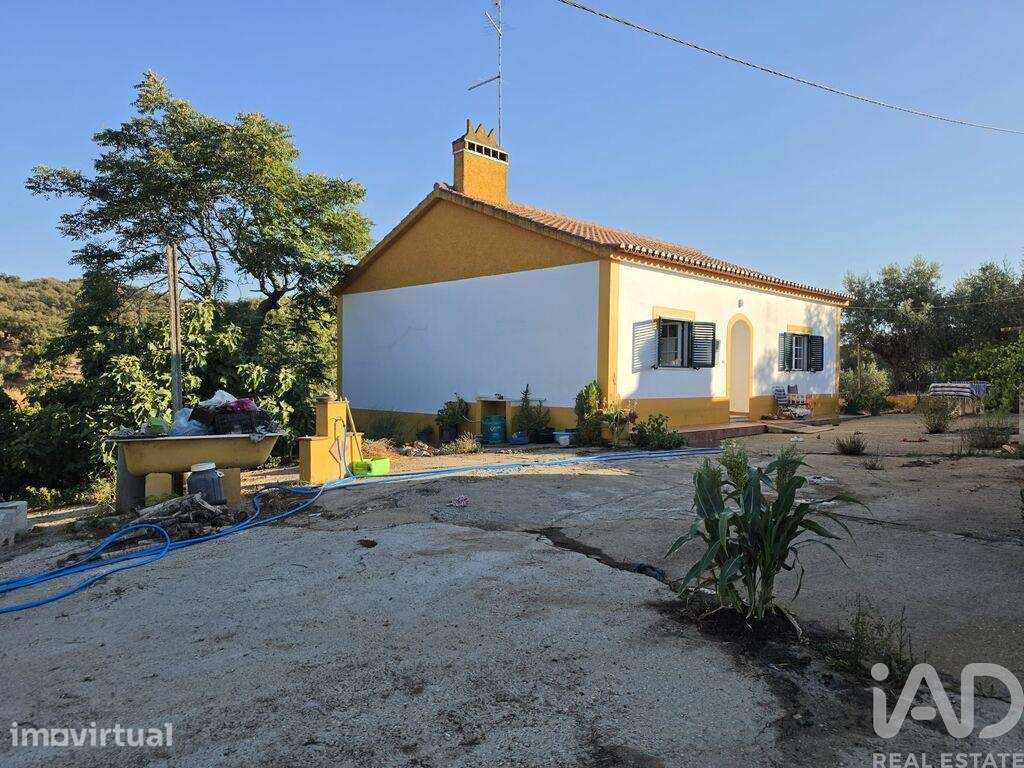 Quinta T3 em Borba (Matriz) de 341 m2