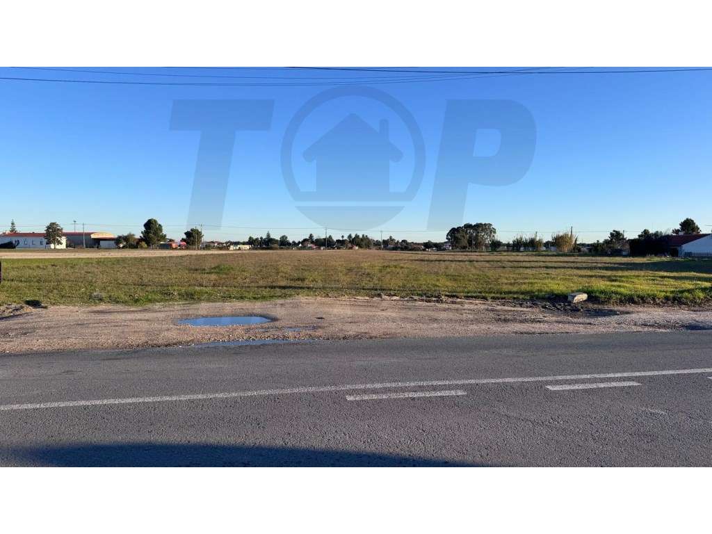 LOTES PARA CONSTRUÇÃO- 1202M2 - Foros de Salvaterra - 95.000€ - Grande imagem: 2/4