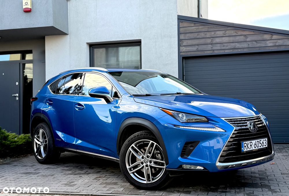 Lexus NX - 6