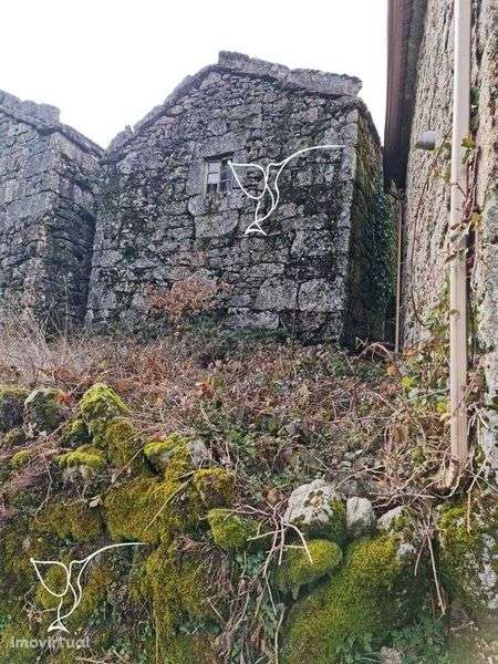 Projeto Aprovado | Ruína em Pedra p/ Turismo Rural – Castro Laboreiro - Grande imagem: 5/8