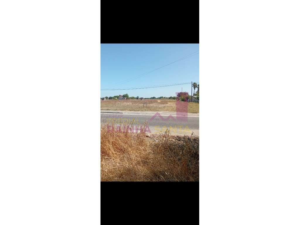 Terreno Rustico (4 artigos) . Urbanizáveis. 1 deles com poço e furo. - Grande imagem: 2/3