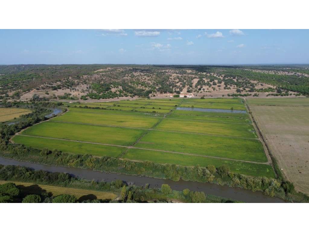 Herdade com 145 ha em Alcácer do Sal - Grande imagem: 2/19