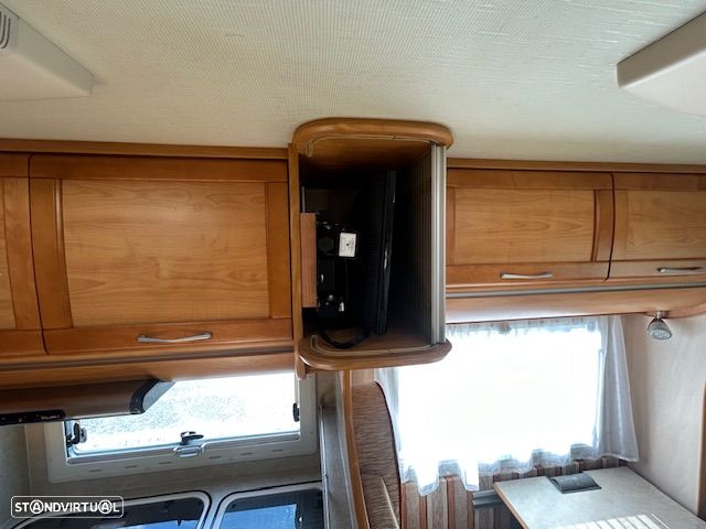 Fleurette Migrateur - 19