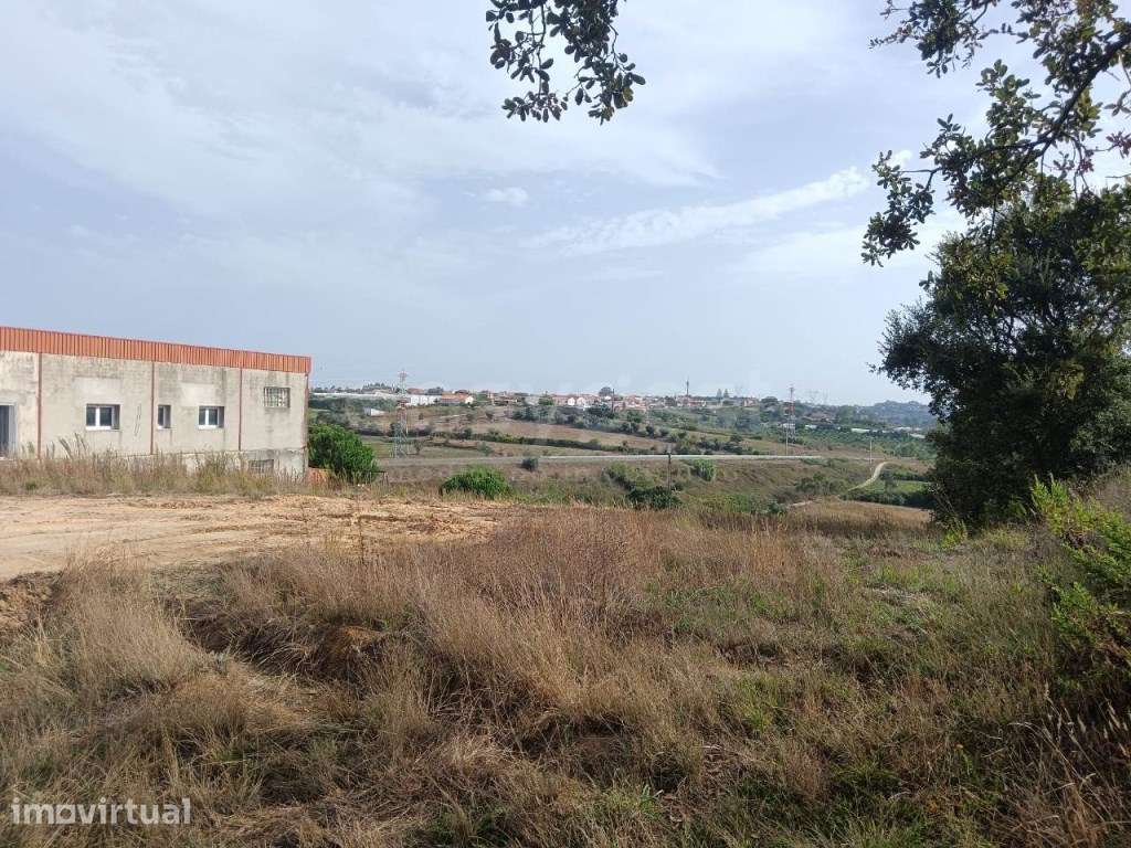 Terreno para construção em Aljubarrota - Grande imagem: 4/6