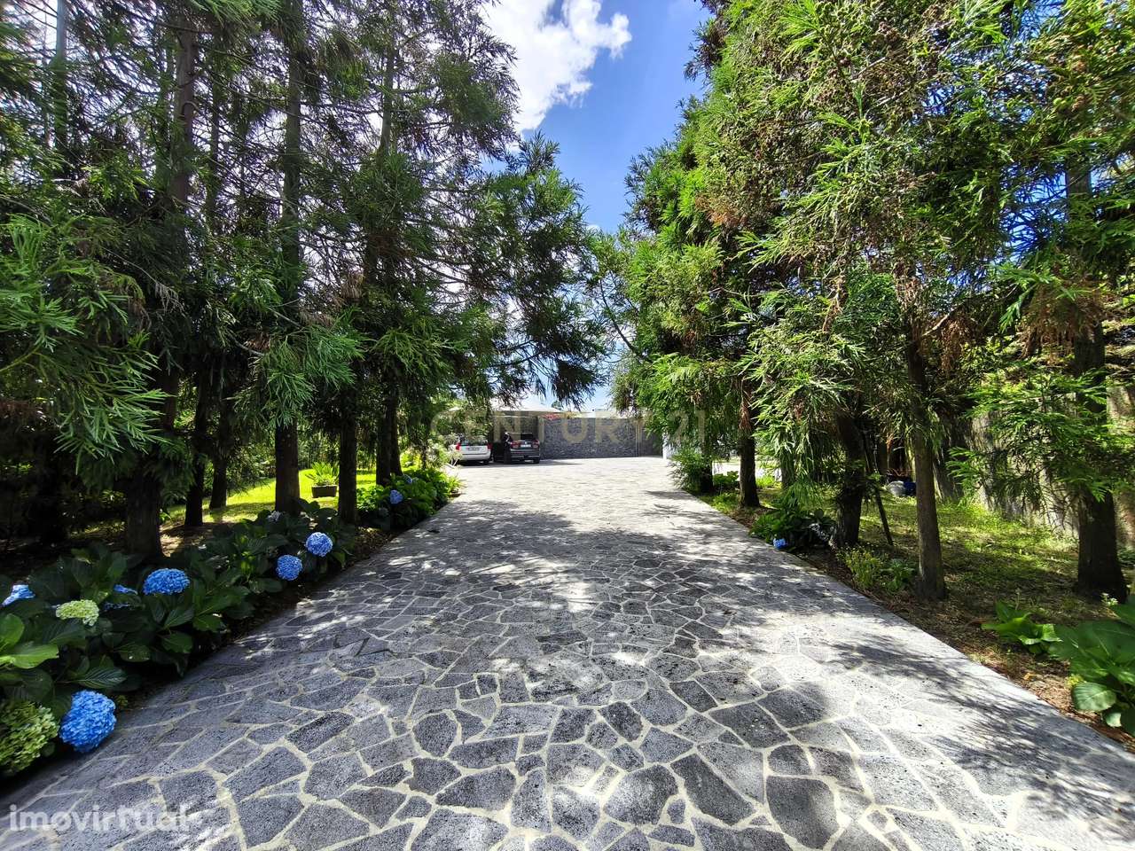 Moradia Térrea de Luxo com Piscina e Jardim Exuberante - Grande imagem: 4/60