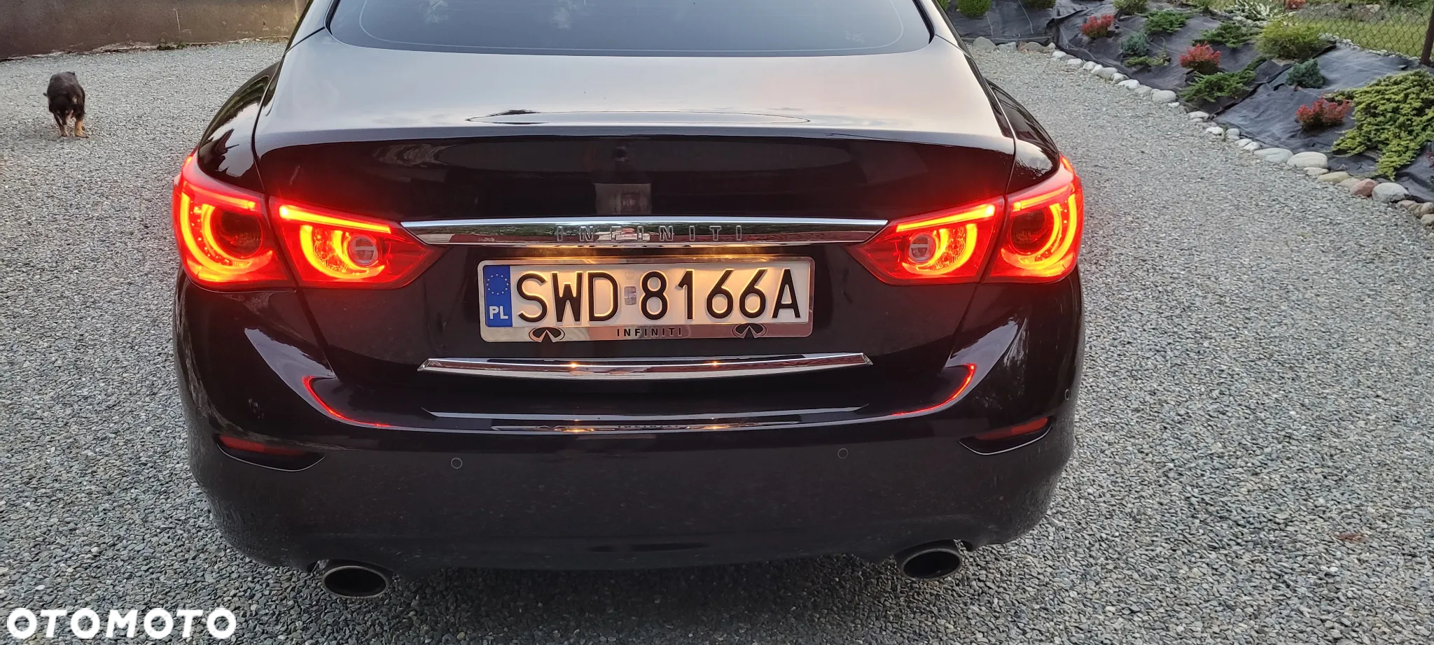Infiniti Q50 2.2d - 32