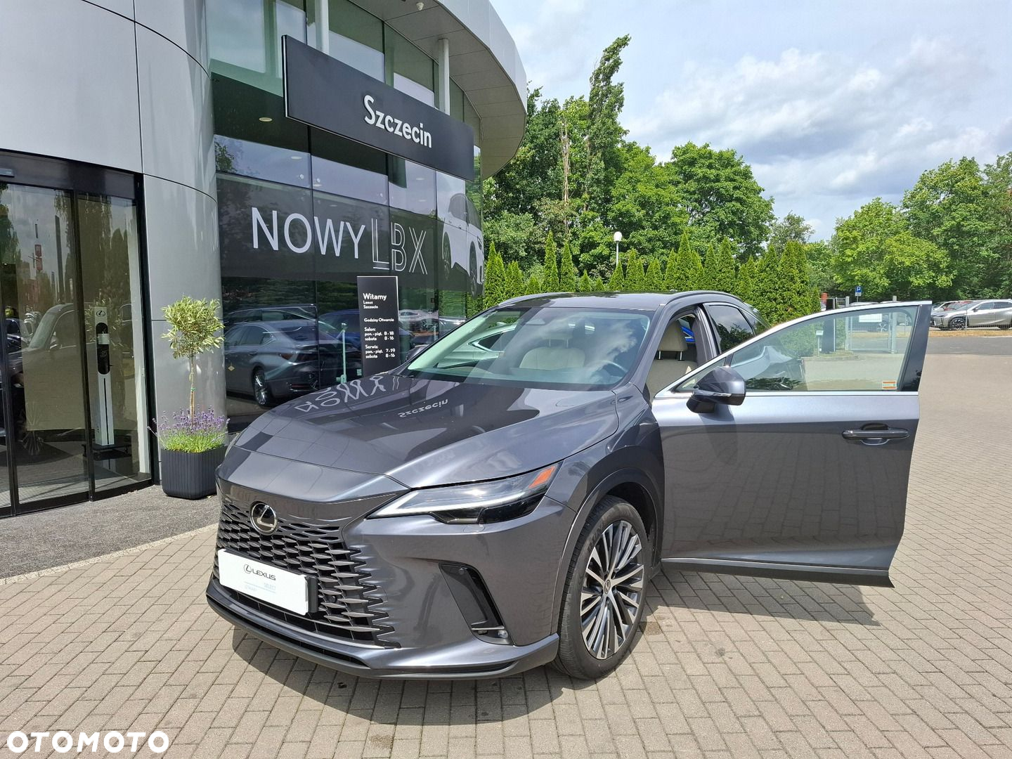 Lexus RX 350h Prestige - 9