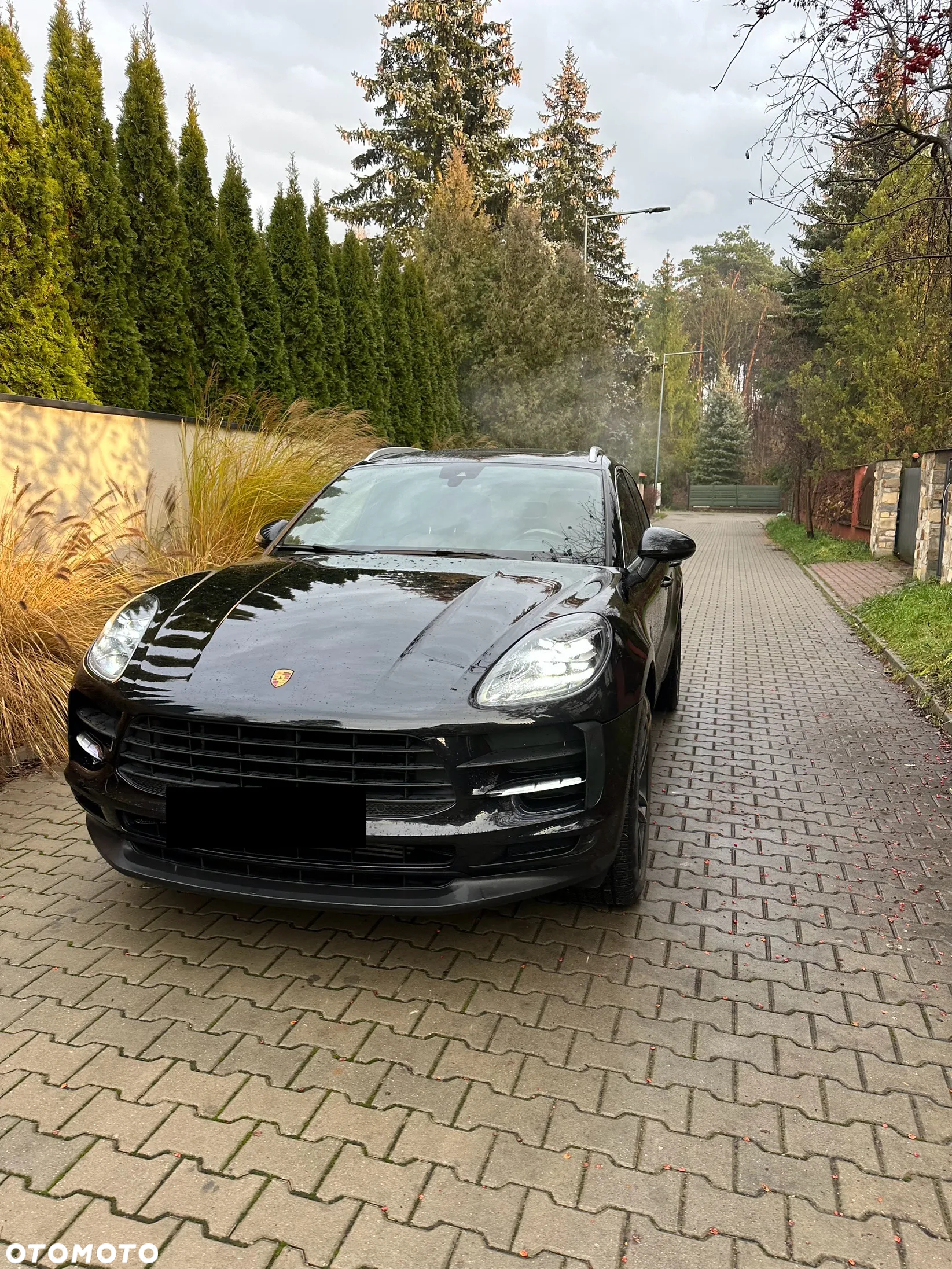 Porsche Macan Standard - 16