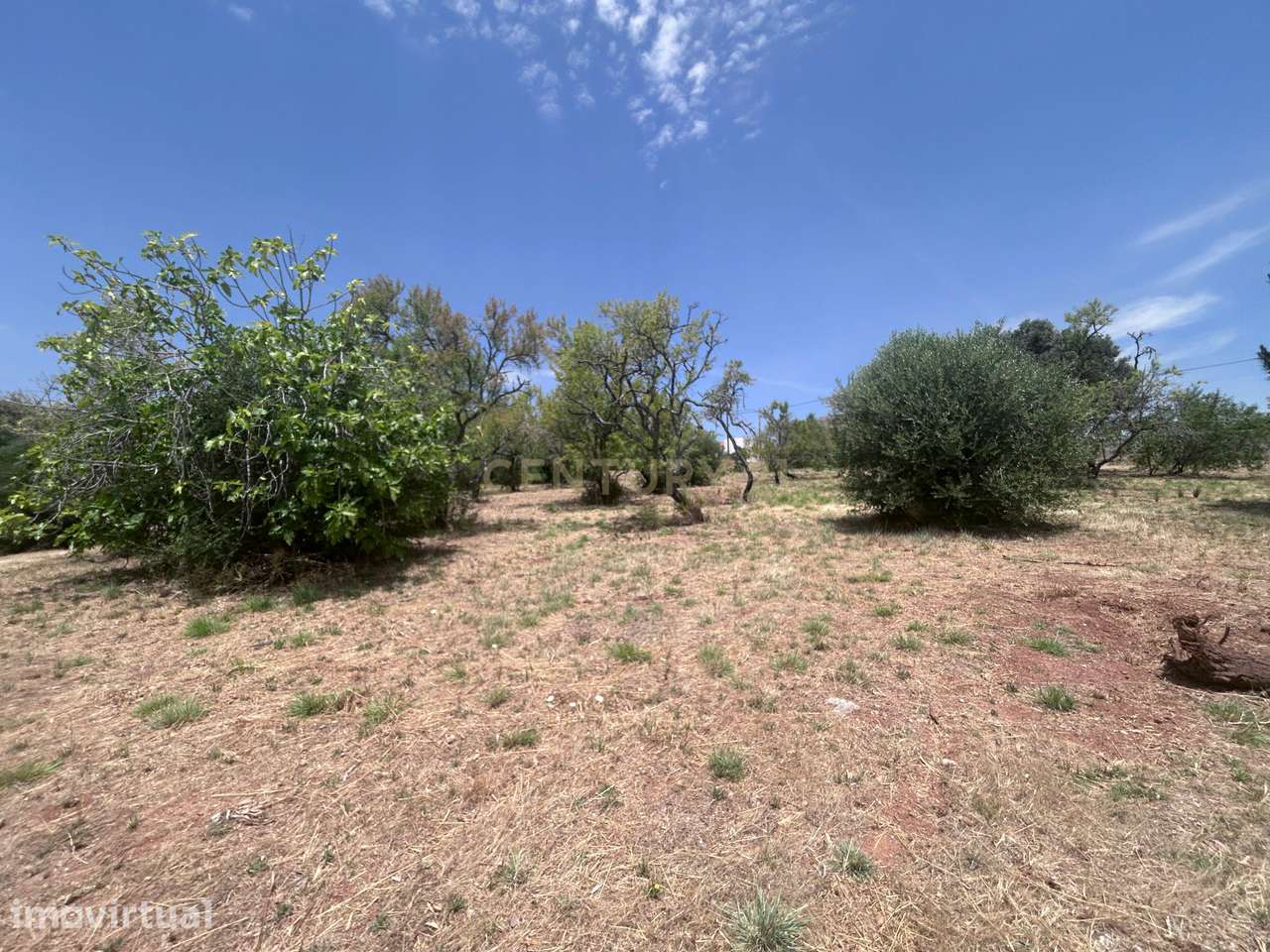 Exclusivo Terreno com 6.320m² em Silves – Natureza, Privacidade e Pote - Grande imagem: 4/59