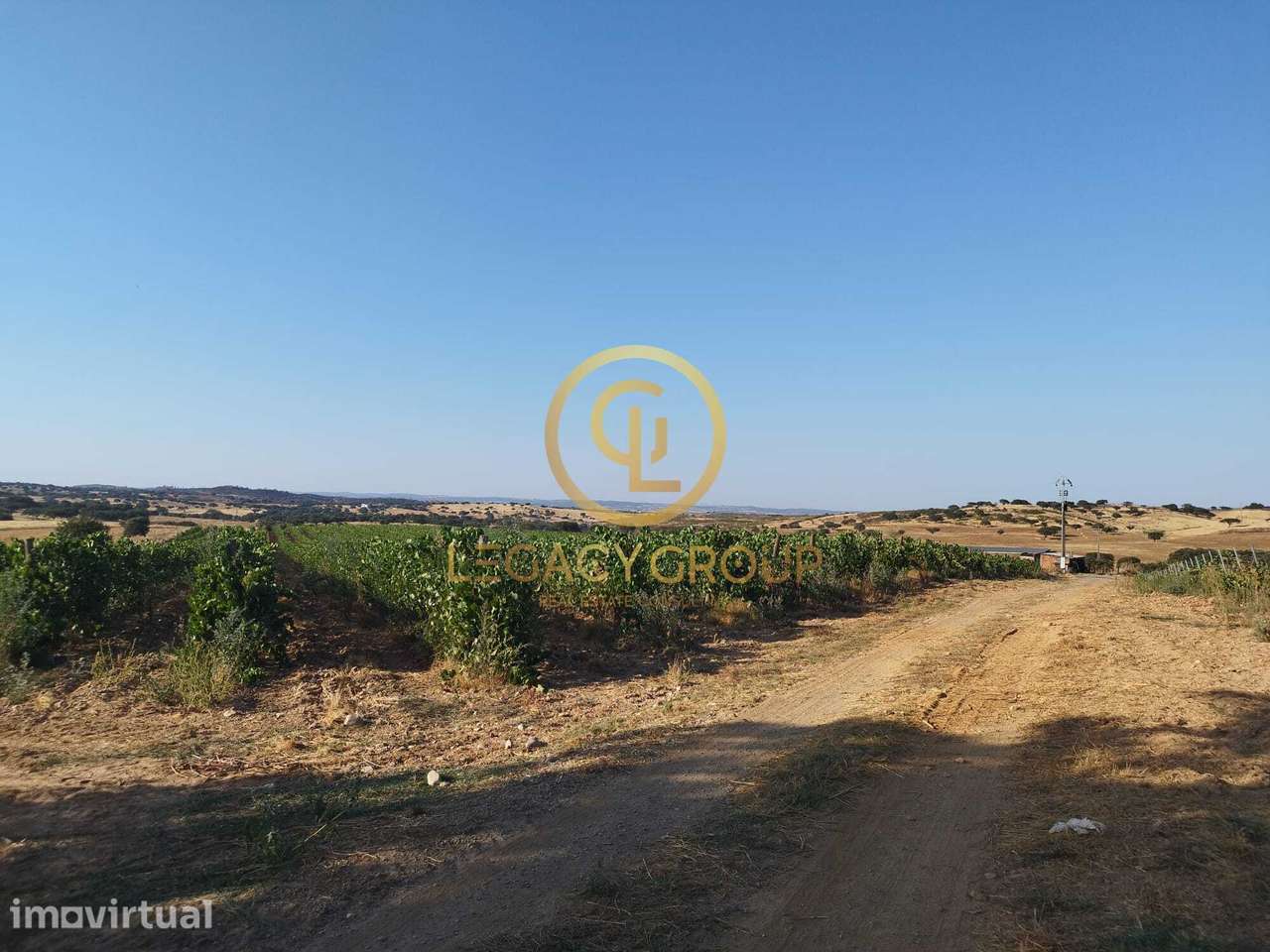 HERDADE DE 36 HECTARES EM SANTIAGO MAIOR - Grande imagem: 5/35