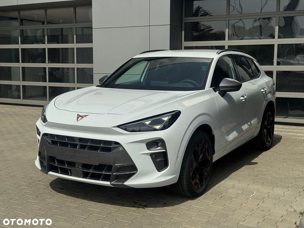 Cupra Terramar - 4