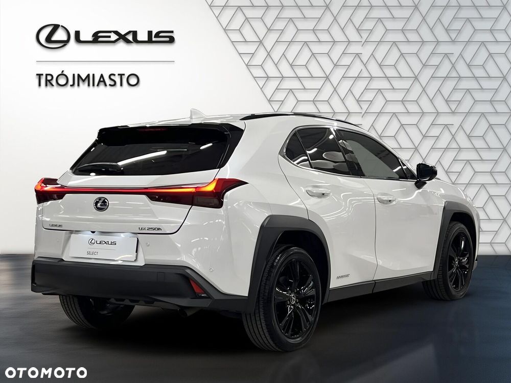 Lexus Ux 2022 photo 5