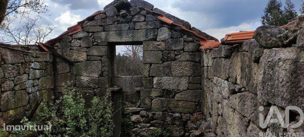 Casa rústica em Cambra e Carvalhal de Vermilhas de 3971 m2 - Grande imagem: 3/38