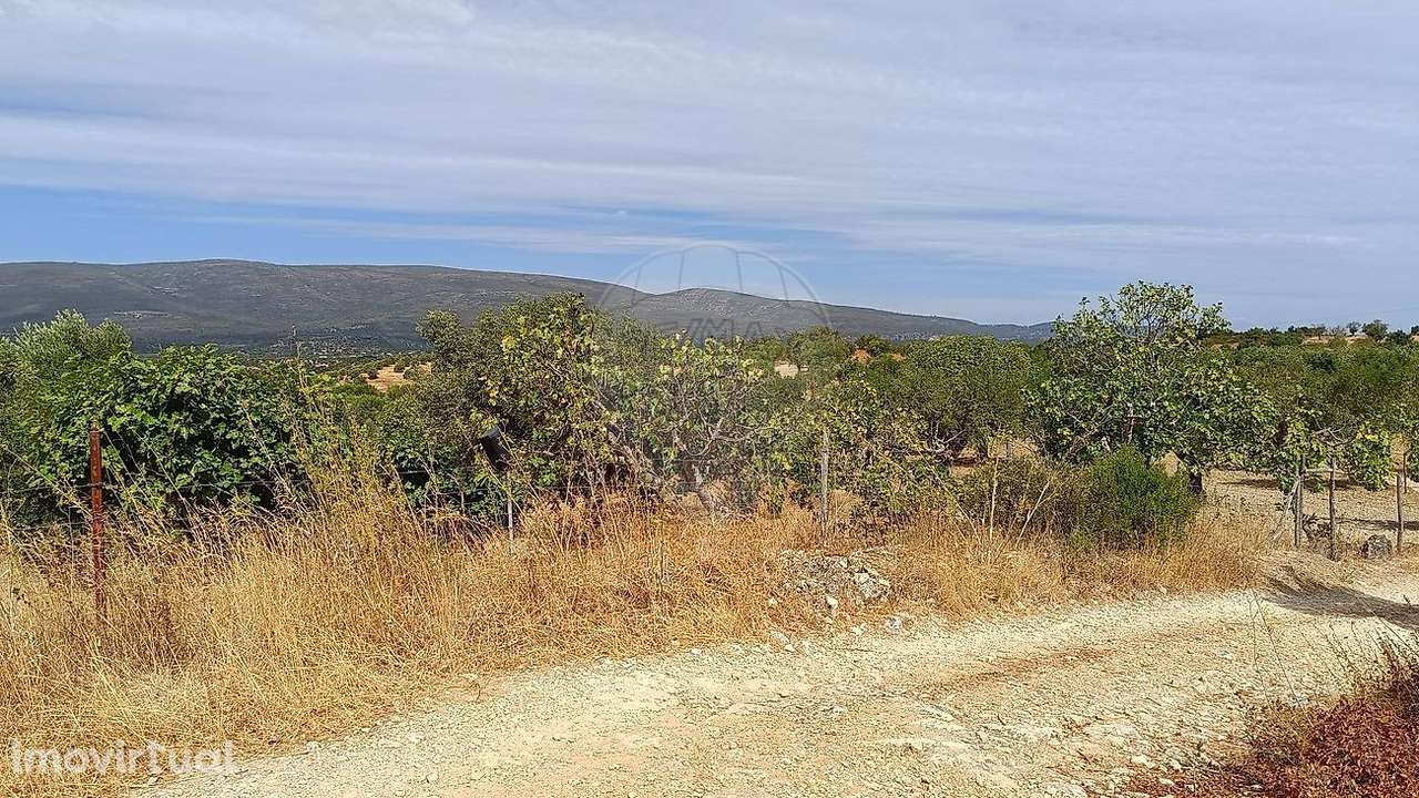 Terreno  para venda - Grande imagem: 2/6