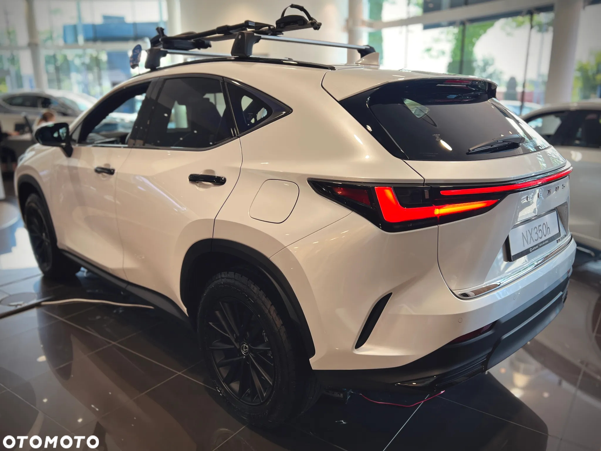 Lexus NX 350h Overtrail AWD - 4