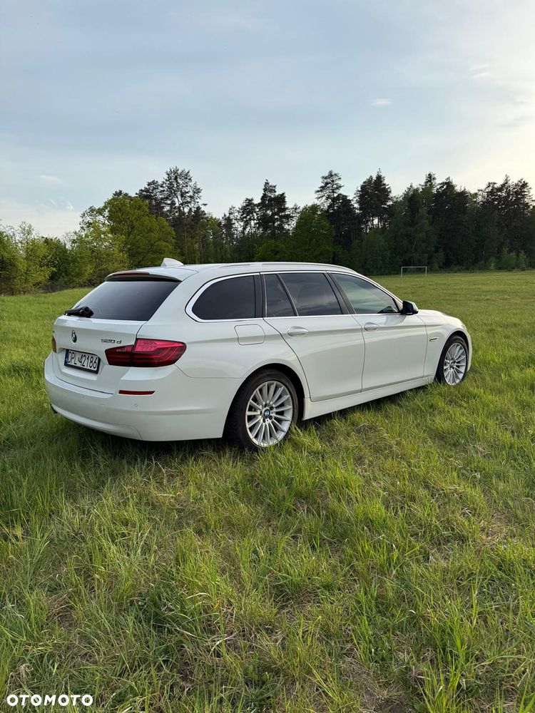 BMW Seria 5 520d Luxury Line - 3