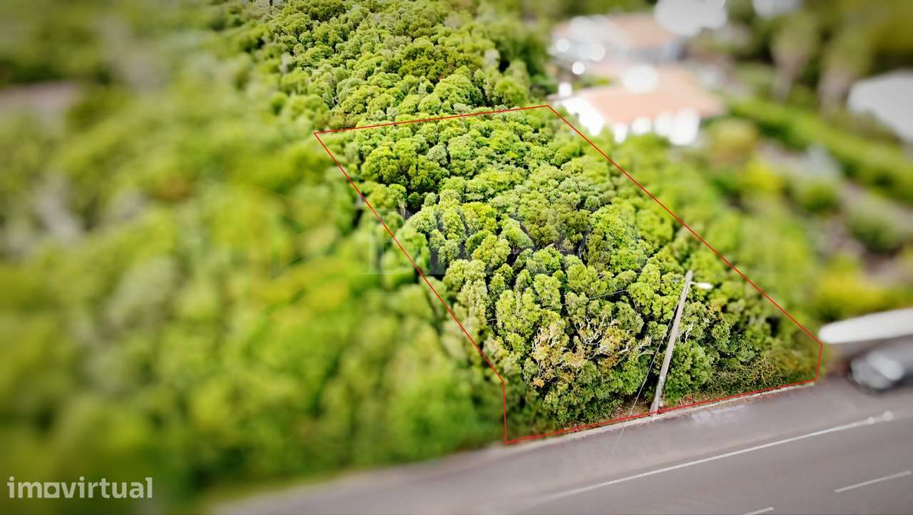 Terreno para Construção em Porto Martins - Grande imagem: 3/12