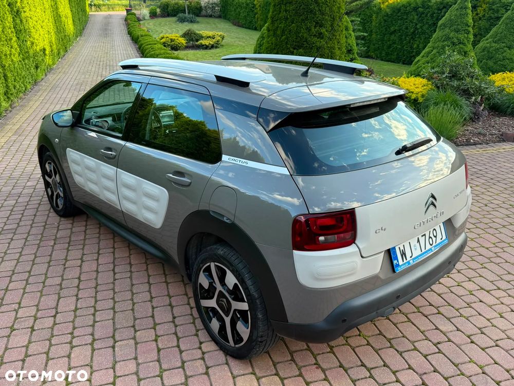 Citroën C4 Cactus 1.2 PureTech MoreLife S&S ETG - 10