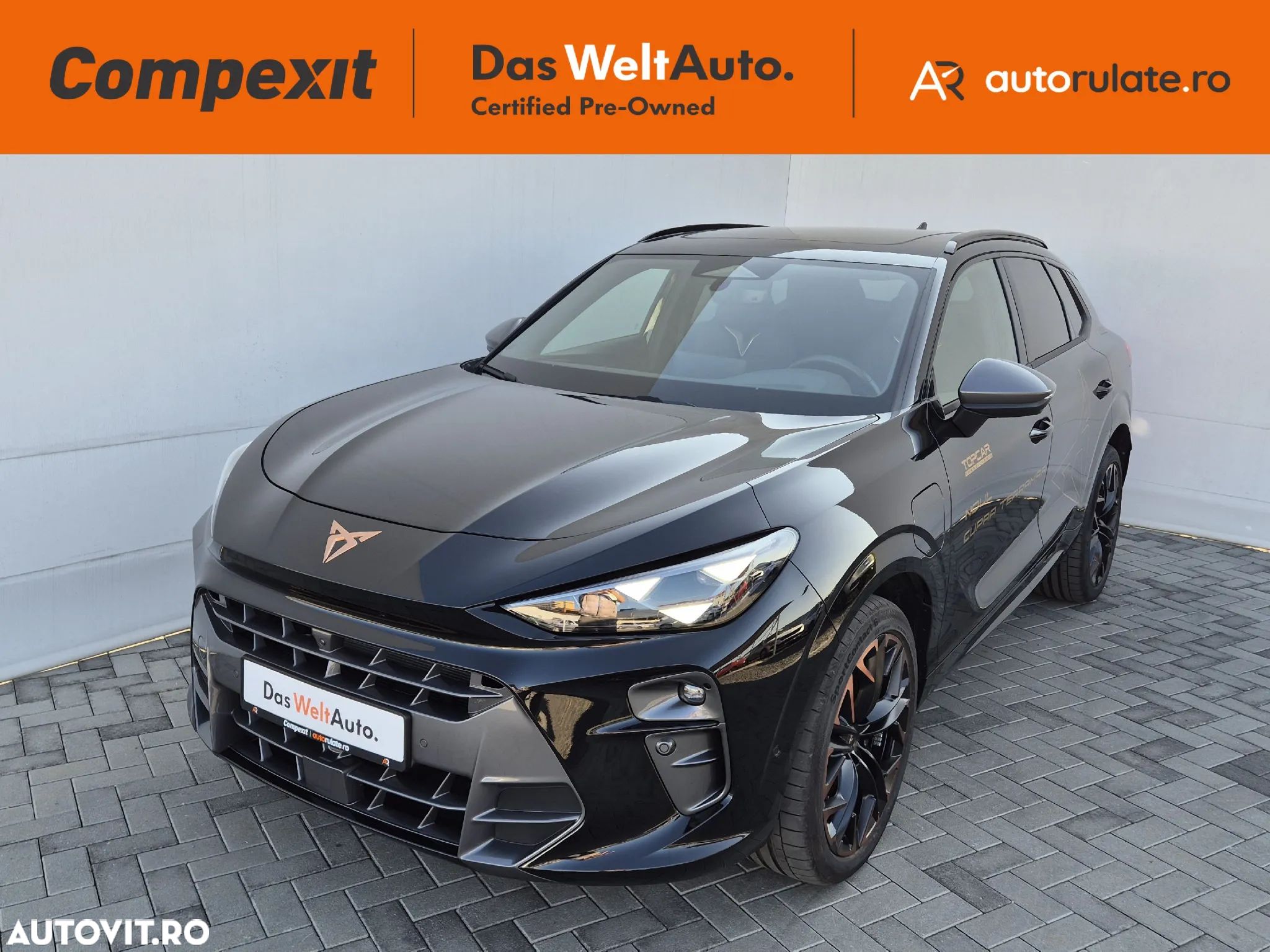 Cupra Terramar - 1
