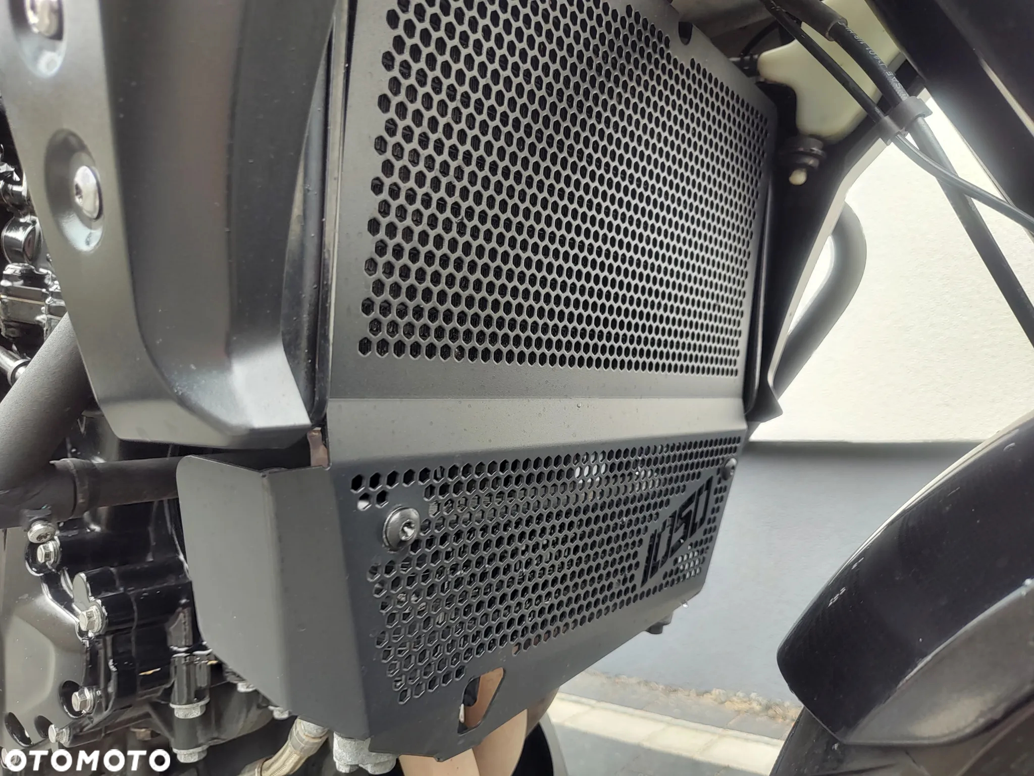 Triumph Tiger - 23