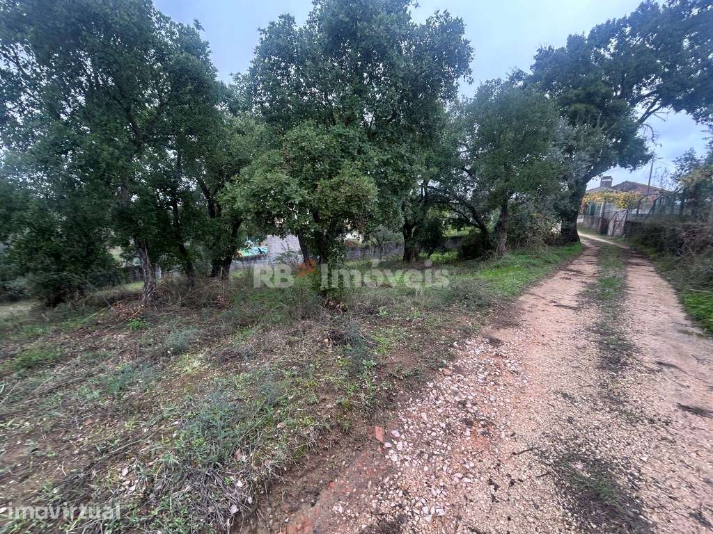 2 terrenos rústicos com 7160m2 - Aboboreira Fundeira, Tomar - Grande imagem: 2/19
