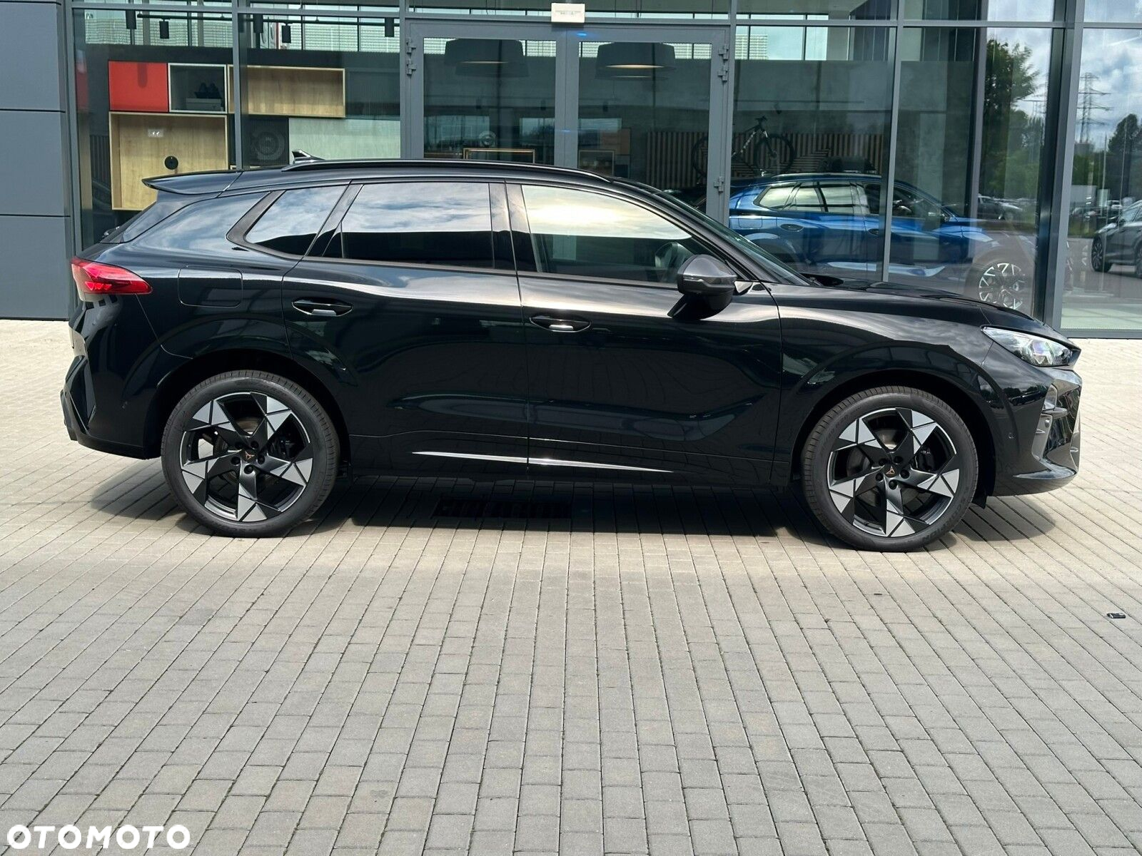 Cupra Terramar - 10