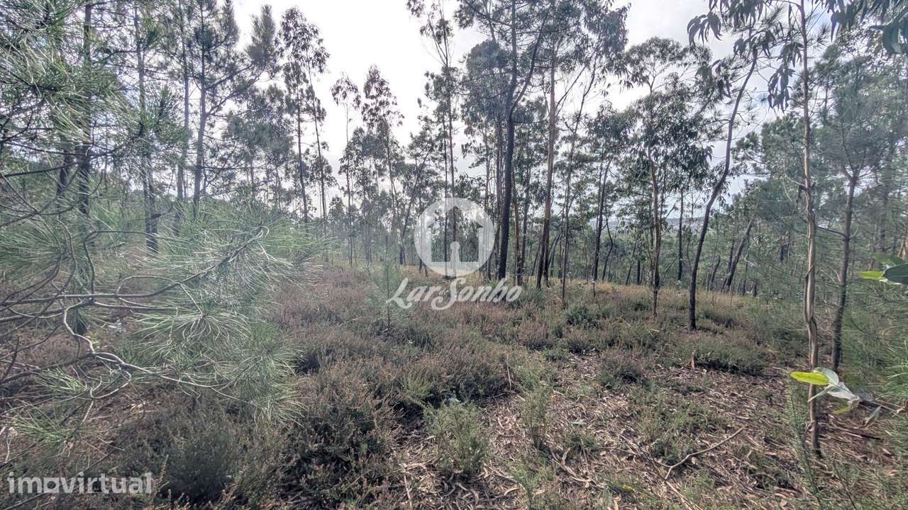 Terreno com 14.516m2 em Laúndos, Póvoa de Varzim