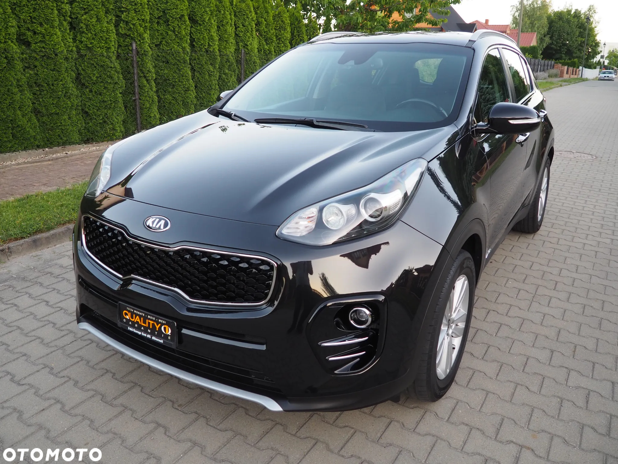 Kia Sportage 1.6 T-GDI Business Line 4WD - 2