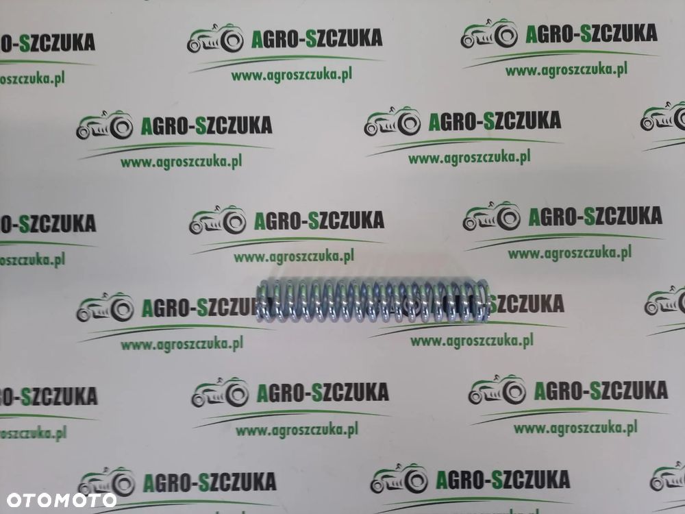 SPRĘŻYNA MASCHIO B01800046R - 1