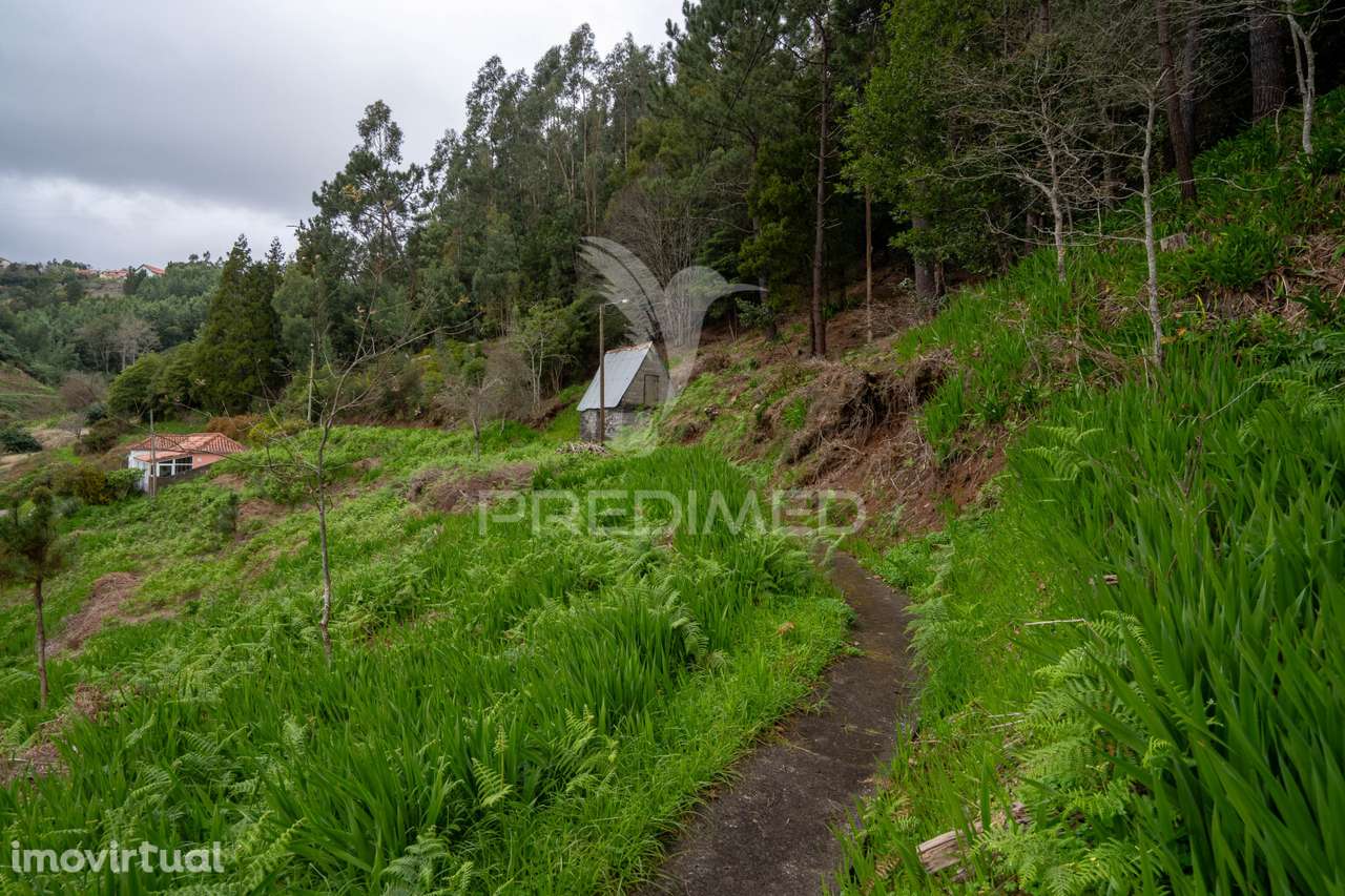 Terreno Na encantadora Freguesia do Santo da Serra Ilha da Madeira - Grande imagem: 2/14