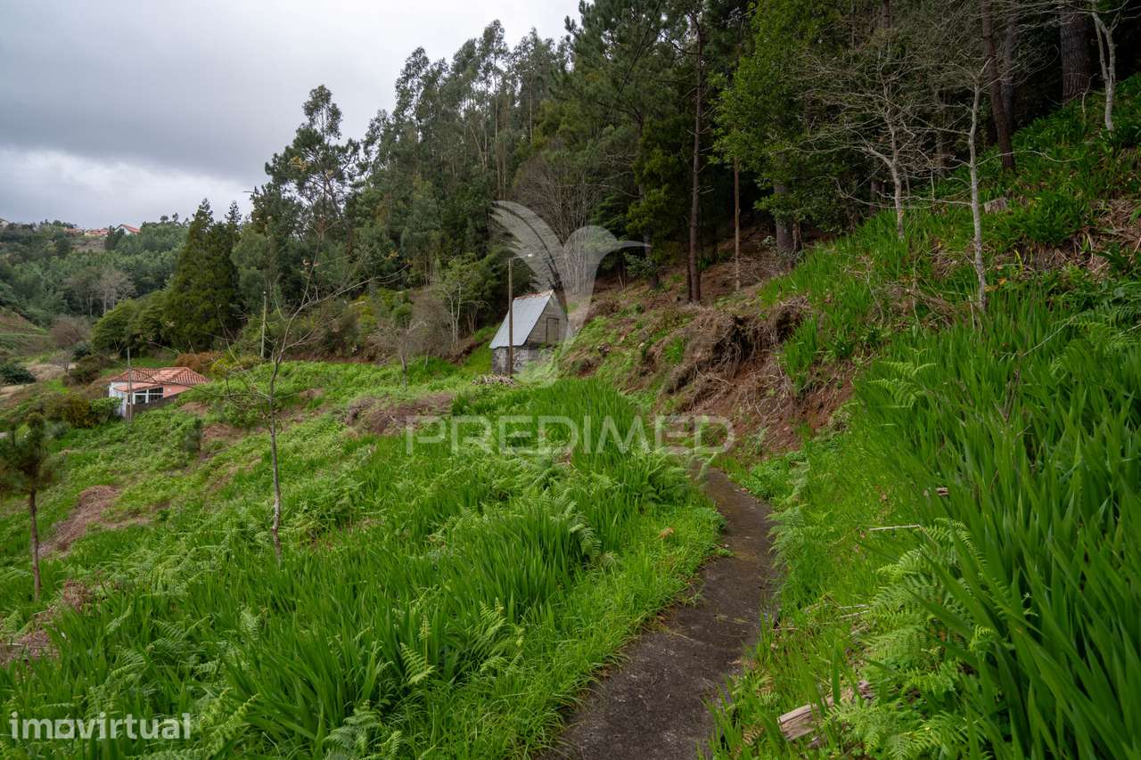 Terreno Na encantadora Freguesia do Santo da Serra Ilha da Madeira - Grande imagem: 2/14