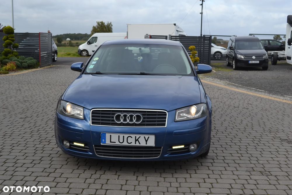 Audi A3 1.6 FSI Ambition - 7
