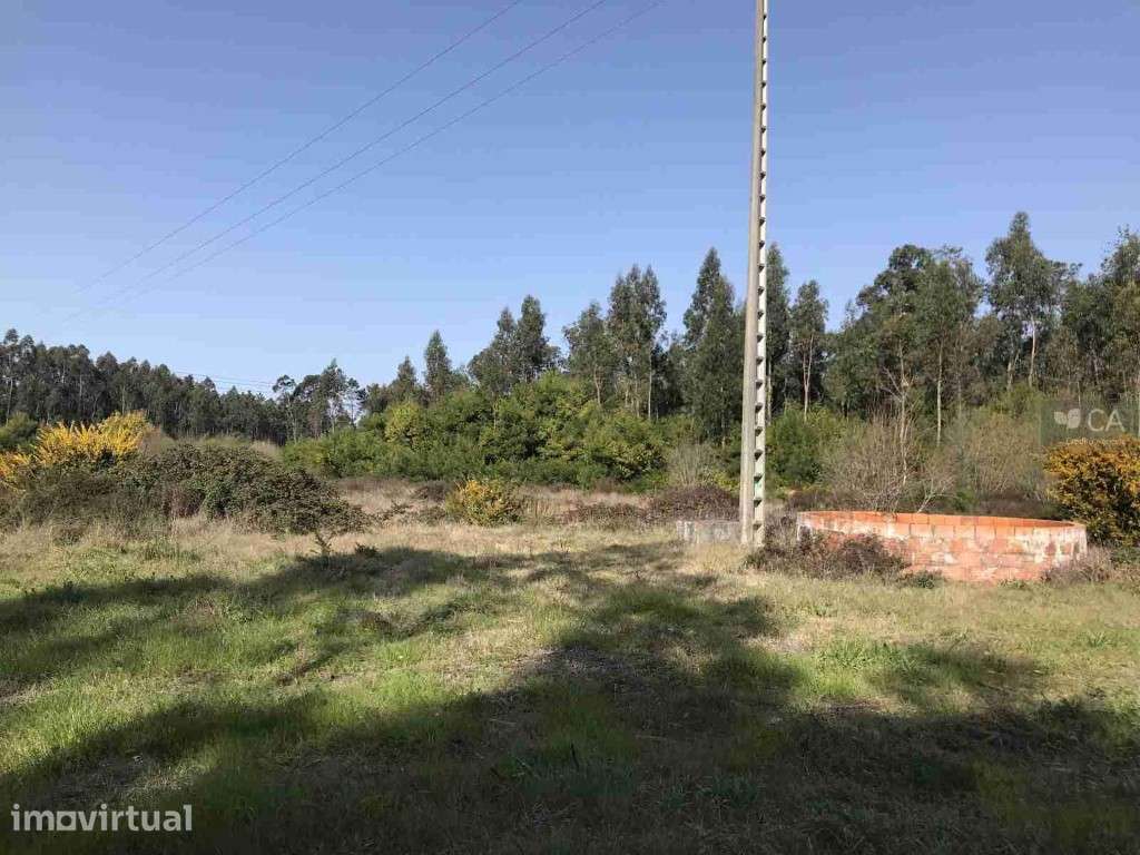 Venda conjunta de 9 terrenos rústicos com área total de 26.407m² - Grande imagem: 5/5