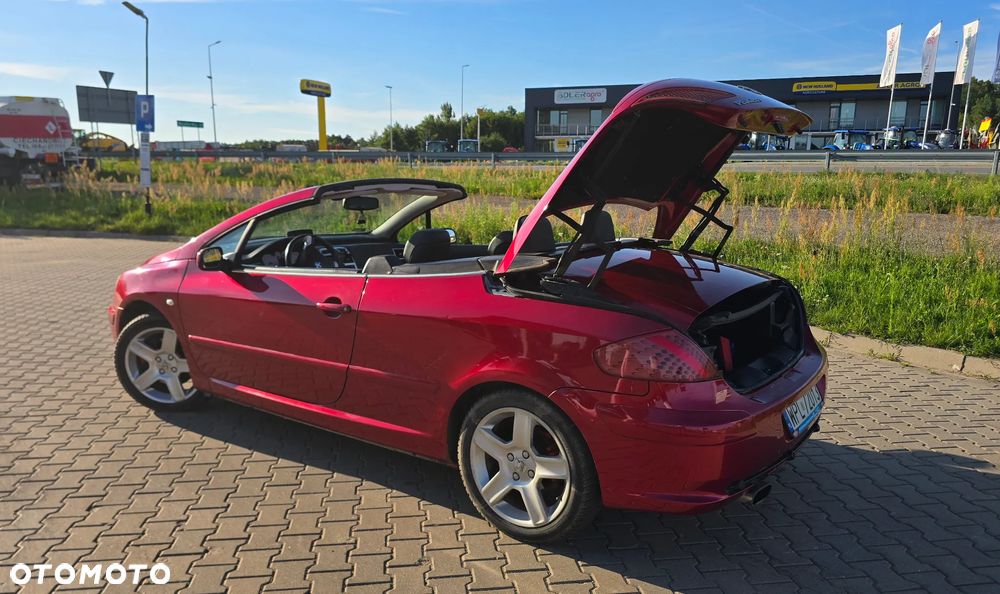 Peugeot 307 2.0 Sporty - 12