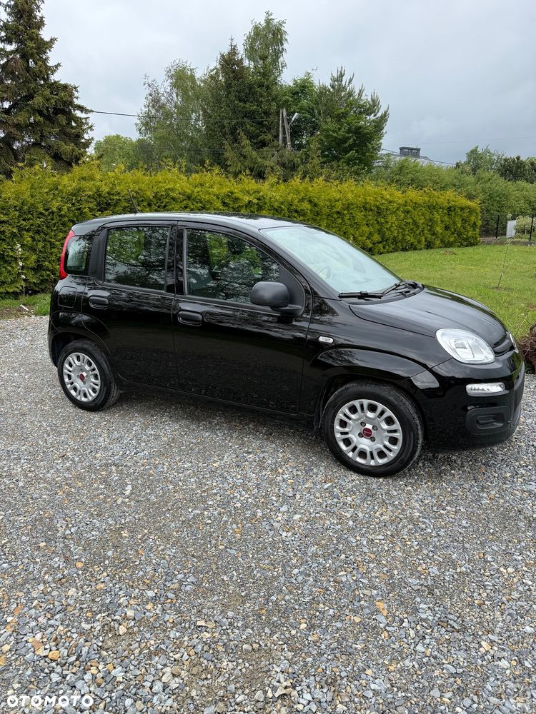 Fiat Panda - 2