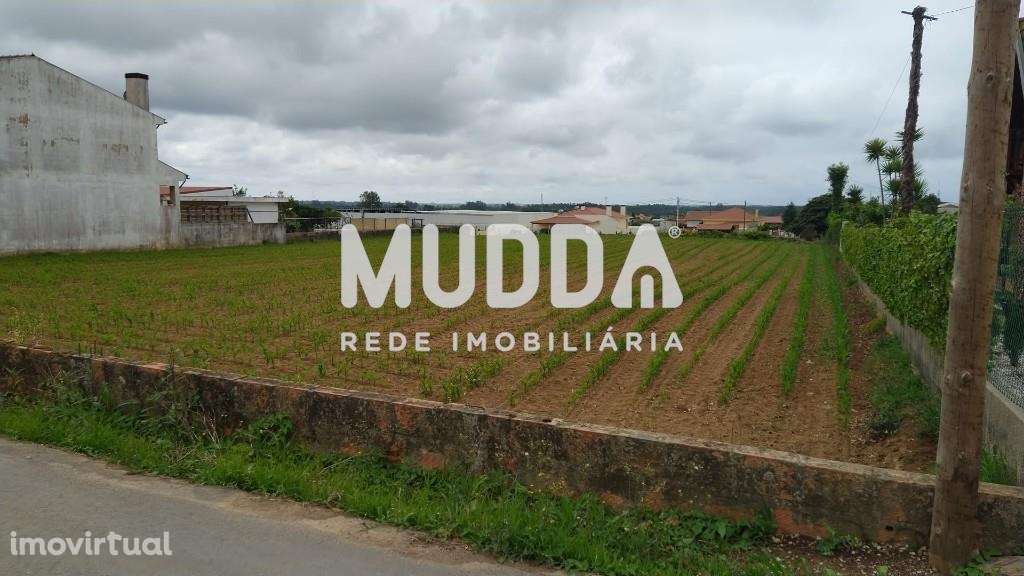 Terreno para construção | Válega - Grande imagem: 3/3