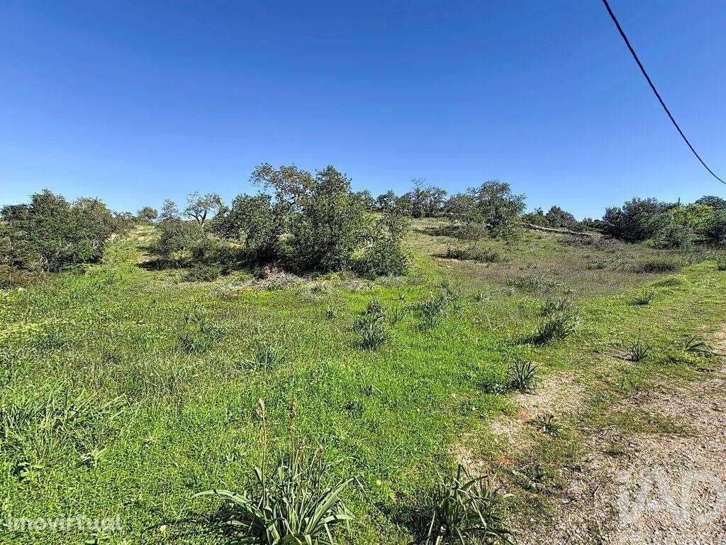 Terreno Agrícola em Algoz e Tunes - Grande imagem: 5/12